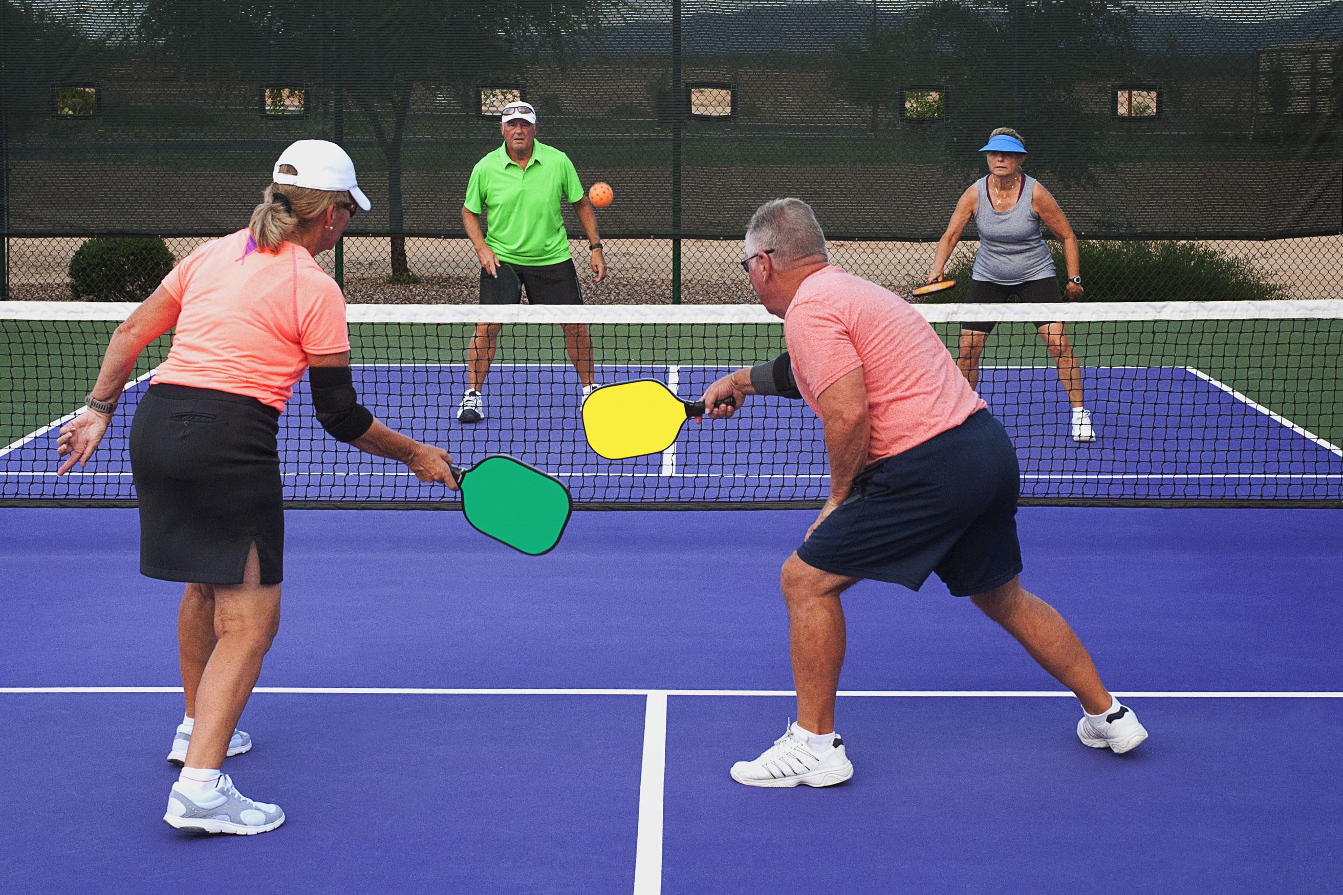 Pickleball A Fast Growing Sport Among Seniors The Oldish®