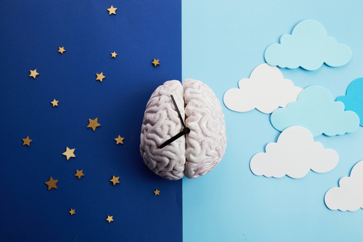 Portrayal of a brain with nightime depicted on one half of the image and daytime depicted on the other.